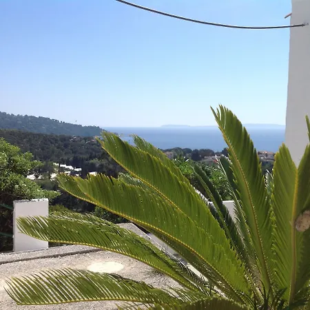 阿祖尔酒店 酒店