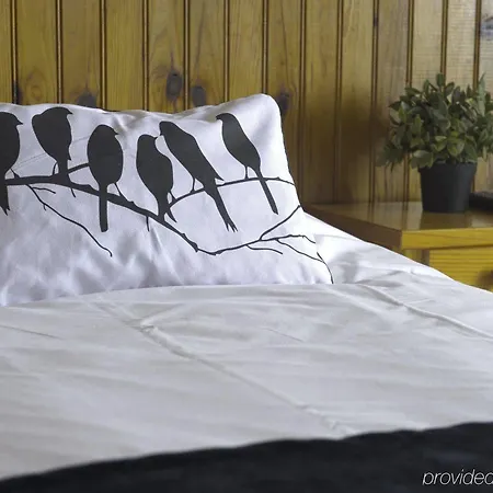 酒店 阿祖尔酒店 勒拉旺杜