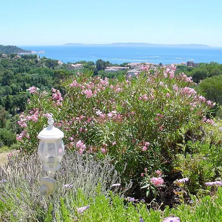 Otel Azur 3*
