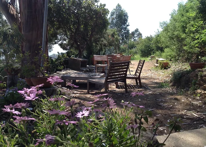 Azur לה לבאנדו